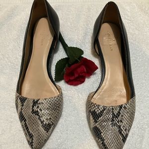 🌹Cole Haan snakeskin flats Cole Haan